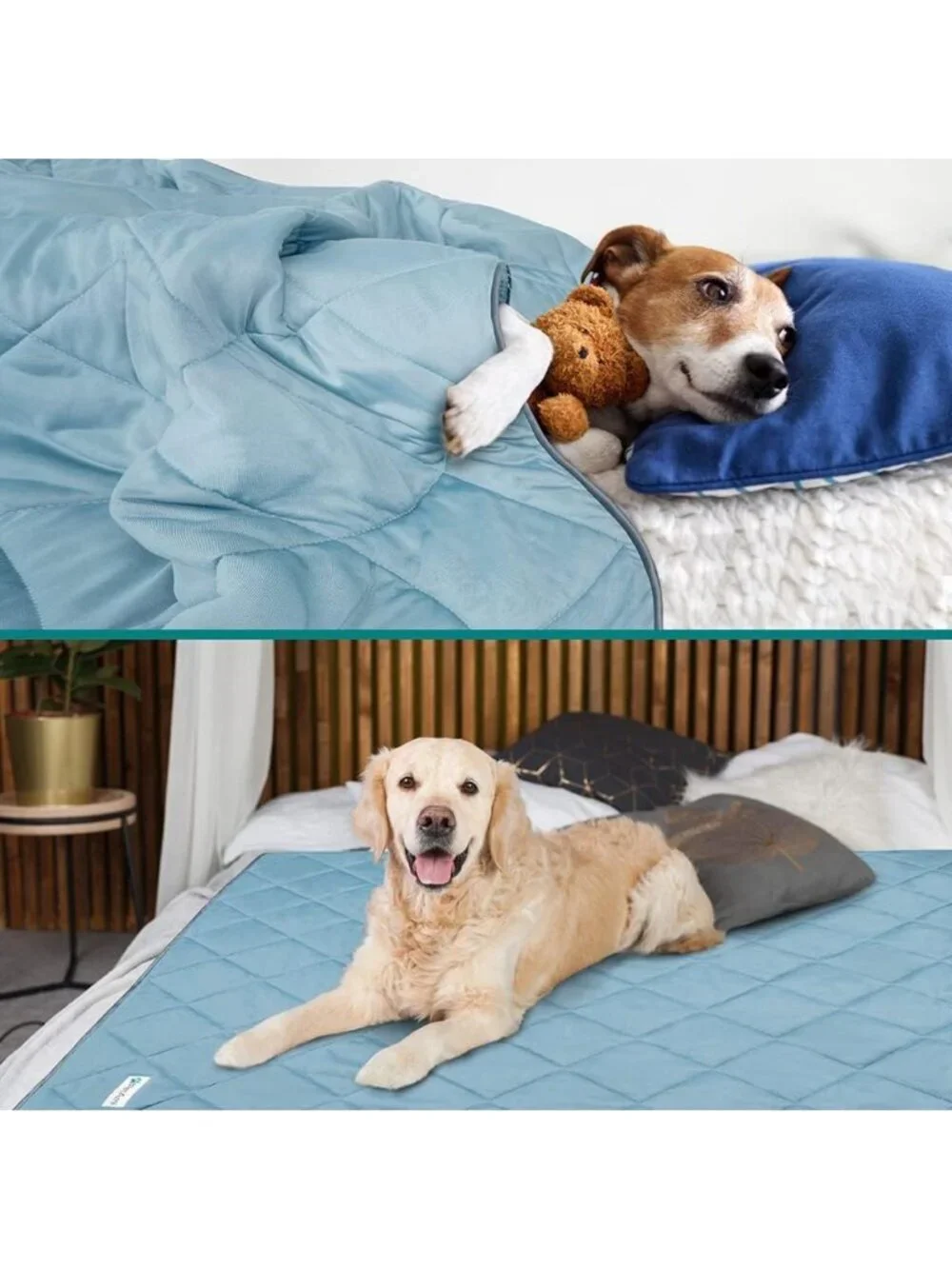 Lightweight Cooling Dog Blanket for Pets, Queen Size 90x90, Soft Blue Color
